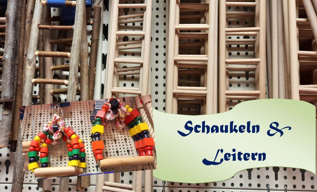 Schaukeln & Leitern
